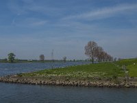 NL, Noord-Brabant, Waalwijk, Bergsche Maas 3, Saxifraga-Jan van der Straaten