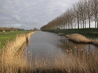 NL, Zeeland, Sas van Gent, Van Remoorterepolder 1, Saxifraga-Peter Meininger
