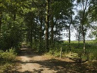 NL, Limburg, Weert, Kettingdijk 4, Saxifraga-Jan van der Straaten
