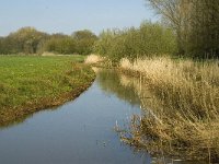 NL, Limburg, Weert, habitat Oranjetipje, Heijkersbroek 9, Saxifraga-Jan van der Straaten