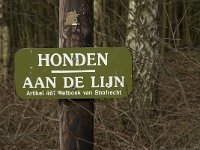 NL, Noord-Brabant, Goirle, Riels Laag 18, Saxifraga-Jan van der Straaten