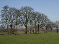 NL, Noord-Brabant, Waalre, De Elshouters 3, Saxifraga-Jan van der Straaten