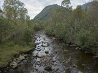 N, More og Romsdal, Fraena, Sylteelva 1, Saxifraga-Willem van Kruijsbergen