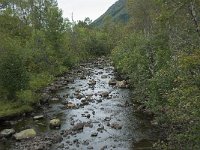 N, More og Romsdal, Fraena, Trollkyrkja 57, Saxifraga-Annemiek Bouwman