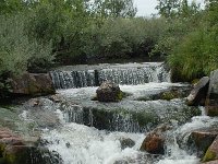S, Dalarna, Sarna, National Park Fulufjallet, Waterfall 8, Saxifraga-Willem van Kruijsbergen