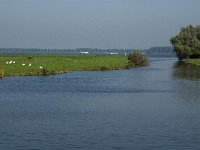 NL, Noord-Brabant, Moerdijk, Tonnekreek 5, Saxifraga-Jan van der Straaten