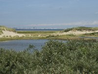 NL, Zuid-Holland, Goeree-Overflakkee, Kwade Hoek 22, Saxifraga-Willem van Kruijsbergen