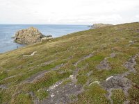 GB, Isles of Scilly, St Agnes 2, Saxifraga-Mark Zekhuis
