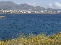 GR, Crete, Lasithi, Agios Nikolaos 4, Saxifraga-Jan van der Straaten