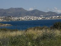 GR, Crete, Lasithi, Agios Nikolaos 8, Saxifraga-Willem van Kruijsbergen