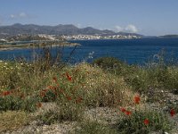 GR, Crete, Lasithi, Agios Nikolaos 9, Saxifraga-Willem van Kruijsbergen