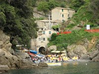 I, Liguria, Camogli, San Fruttuoso 3, Saxifraga- Hans Dekker
