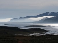 N, Finnmark, Sor Varanger, Varangerfjord 4, Saxifraga-Dirk Hilbers