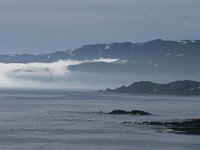 N, Finnmark, Sor Varanger, Varangerfjord 6, Saxifraga-Dirk Hilbers