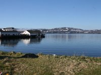 N, Finnmark, Sor Varanger, Varangerfjord 7 Saxifraga-Dirk Hilbers