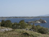 N, More og Romsdal, Averoy, Atlanterhavsvegen 1, Saxifraga-Willem van Kruijsbergen