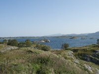 N, More og Romsdal, Averoy, Atlanterhavsvegen 38, Saxifraga-Annemiek Bouwman