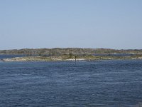 N, More og Romsdal, Averoy, Atlanterhavsvegen 9, Saxifraga-Willem van Kruijsbergen