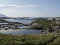 N, More og Romsdal, Eide, Atlanterhavsvegen 11, Saxifraga-Willem van Kruijsbergen