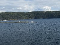 N, Oslo, Oslofjord 40, Saxifraga-Annemiek Bouwman