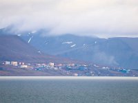 N, Spitsbergen, Barentzburg 1, Saxifraga-Bart Vastenhouw