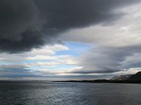 N, Spitsbergen, Freemansundet 1, Saxifraga-Bart Vastenhouw