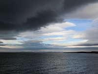 N, Spitsbergen, Freemansundet 2, Saxifraga-Bart Vastenhouw