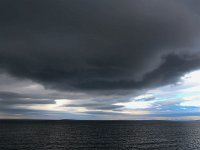 N, Spitsbergen, Freemansundet 4, Saxifraga-Bart Vastenhouw