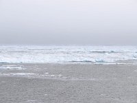 N, Spitsbergen, Noordelijke IJszee, Pakijs 1, Saxifraga-Bart Vastenhouw.