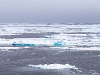 N, Spitsbergen, Noordelijke IJszee, Pakijs 3, Saxifraga-Bart Vastenhouw