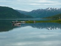 N, Troms, Kaefjord, Gullesfjordbotn 21, Saxifraga-Hans Dekker