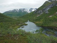 N, Troms, Kaefjord, Gullesfjordbotn 3, Saxifraga-Hans Dekker