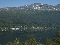 N, Troms, Lenvik, Fjordbotn 3, Saxifraga-Marijke Verhagen
