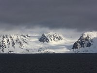 NO, Spitsbergen, Forlandssundet 1, Saxifraga-Bart Vastenhouw