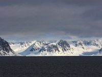 NO, Spitsbergen, Forlandssundet 2, Saxifraga-Bart Vastenhouw