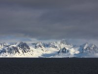 NO, Spitsbergen, Forlandssundet 3, Saxifraga-Bart Vastenhouw