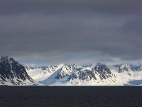 NO, Spitsbergen, Forlandssundet 4, Saxifraga-Bart Vastenhouw