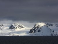 NO, Spitsbergen, Forlandssundet 5, Saxifraga-Bart Vastenhouw