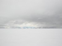 NO, Spitsbergen, Fuglesangen 1, Saxifraga-Bart Vastenhouw