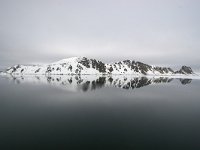 NO, Spitsbergen, Fuglesangen 14, Saxifraga-Bart Vastenhouw