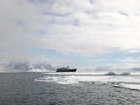NO, Spitsbergen, Fuglesangen 17, Saxifraga-Bart Vastenhouw