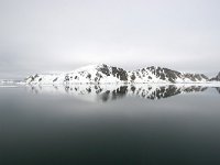 NO, Spitsbergen, Fuglesangen 20, Saxifraga-Bart Vastenhouw