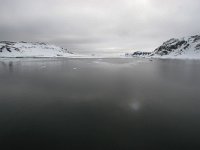 NO, Spitsbergen, Fuglesangen 23, Saxifraga-Bart Vastenhouw