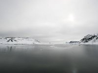 NO, Spitsbergen, Fuglesangen 25, Saxifraga-Bart Vastenhouw
