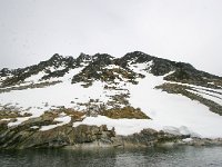 NO, Spitsbergen, Fuglesangen 26, Saxifraga-Bart Vastenhouw