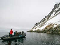 NO, Spitsbergen, Fuglesangen 27, Saxifraga-Bart Vastenhouw