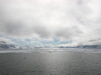 NO, Spitsbergen, Fuglesangen 4, Saxifraga-Bart Vastenhouw