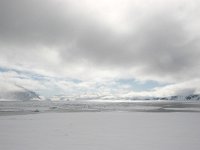 NO, Spitsbergen, Fuglesangen 9, Saxifraga-Bart Vastenhouw