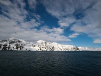 NO, Spitsbergen, Kongsfjord 1, Saxifraga-Bart Vastenhouw