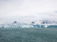 NO, Spitsbergen, Kongsfjord 14, Saxifraga-Bart Vastenhouw